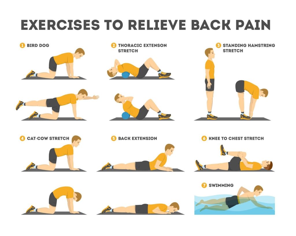 Back Pain Workout at Home: Relieve and Strengthen Fast - My Blog